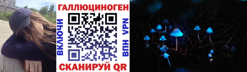 Псилоцибиновые грибы Cubensis  Благодарный 