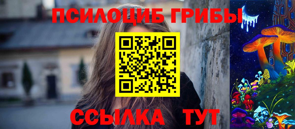 Псилоцибиновые грибы Psilocybe Благодарный